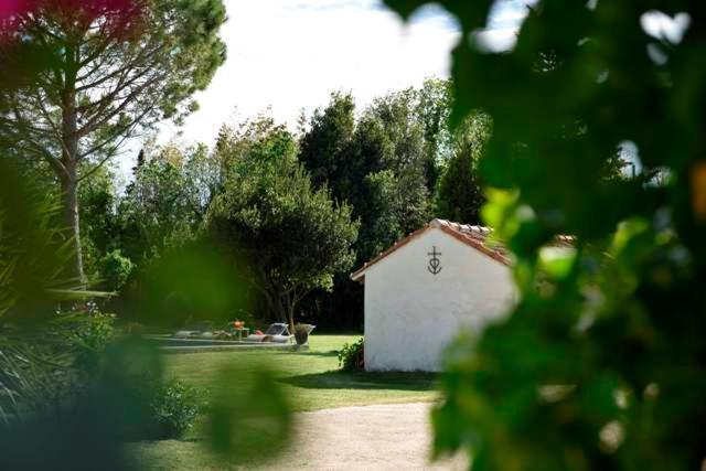 Mas De Bouvet En Camargue Bed and Breakfast Albaron Exterior foto